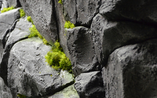 オフィス中央部にモルタル造形で擬岩を制作